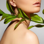 Soin de la peau verte – la beauté par le respect